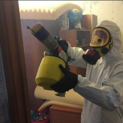 Уничтожение клопов в квартире. Первомайская
